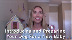 Introducing and Preparing Your Dog For a New Baby