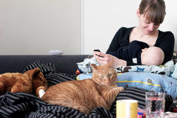 Mom breastfeeding baby on couch with cat